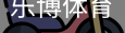 乐博体育集团